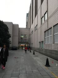 -上海交通大学医学院附属上海儿童医学中心(陆家嘴总院区)
