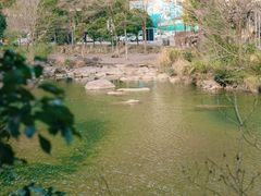 -龙湾潭国家森林公园