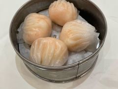 水晶蝦餃皇&nbsp;&nbsp;-凯悦大酒楼