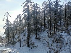 -瓦屋山景区