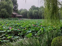 -近春园遗址