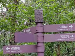 -宝石山