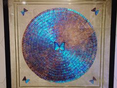 -上海昆虫博物馆