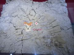 -南越王博物院(王宫展区)