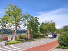 -上海长兴岛郊野公园