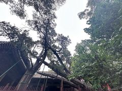-晋祠博物馆