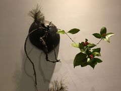 -乐领拈花溪·林涧食韵