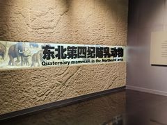 -大庆市博物馆