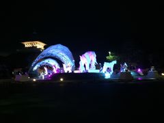 -清迈夜间动物园