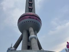 -上海大自然野生昆虫馆(东方明珠·爬宠昆虫探索中心)