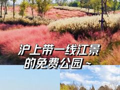 -上海滨江森林公园
