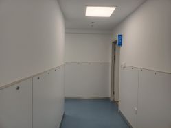 -温州伯思立医院
