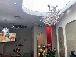 -宝贝家族国际影像馆(高新店)