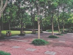 -浦江镇市民健身中心·菲快体育