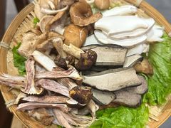 -阿山卓·野生菌火锅·纳西火塘烤肉