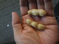 -初蓉丨遇见新川菜(亲贤街荣耀店)