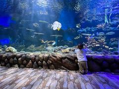 -华夏文旅海洋公园