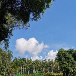 -佳慕祛痘皮肤管理连锁