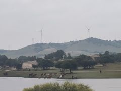 -塞罕坝国家级自然保护区