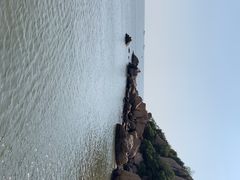 -胜记大排档·台山本地海鲜·台山黄鳝饭