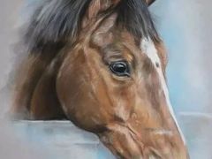 -信马画室 成人零基础到个人创作画室(亚运村店)