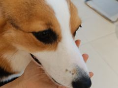 -怪兽屋·羊驼·猫咖·狗咖(俊华广场店)