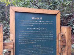 -凤栖山