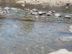 -北仑森林植物园