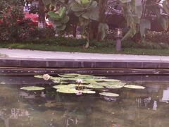 -广东温泉宾馆