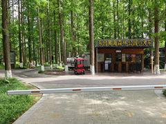 -黄海国家森林公园