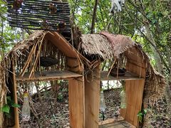 -华侨城湿地公园