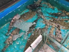 -中苑海韵