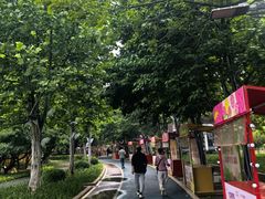 -太阳宫公园