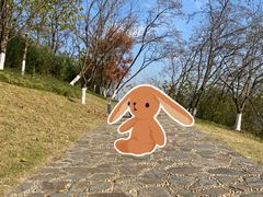 -羊山湖公园