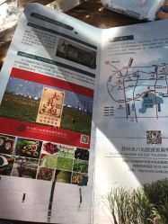 -水八仙生态园