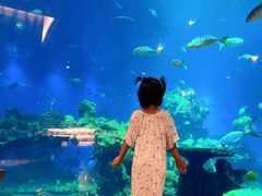 -涛·海底餐厅·美人鱼·自助餐·海底隧道(三亚海棠湾洲际度假酒店)