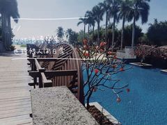 -三亚海棠湾万丽度假酒店