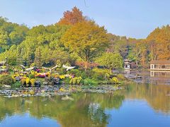 -杭州植物园