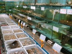 水产区-海岛渔村大酒店(云霄路店)