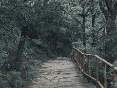 -北京上方山国家森林公园