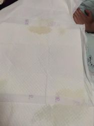-瑞晨曦催乳产后健康(枣园店)
