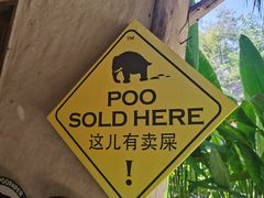 -大象粑粑造纸公园