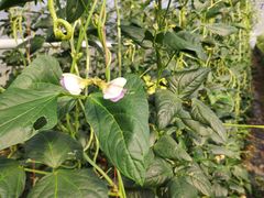 -上膳源有机农场