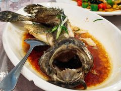 -大湾区鑫南酒家·粤菜(黄岐店)