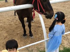 -迪茵湖田家舍生态农场