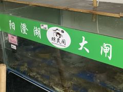 -阳澄湖大闸蟹·琼灵阁牌品牌连锁(吴中总店)