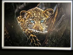 -罗红摄影艺术馆