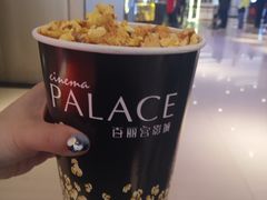 -百丽宫影城(CGS激光苏宁广场店)