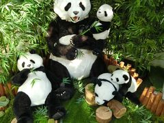 -济州岛泰迪熊博物馆