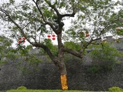 -肇庆古城墙
